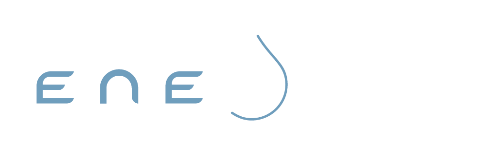 Enevive logo